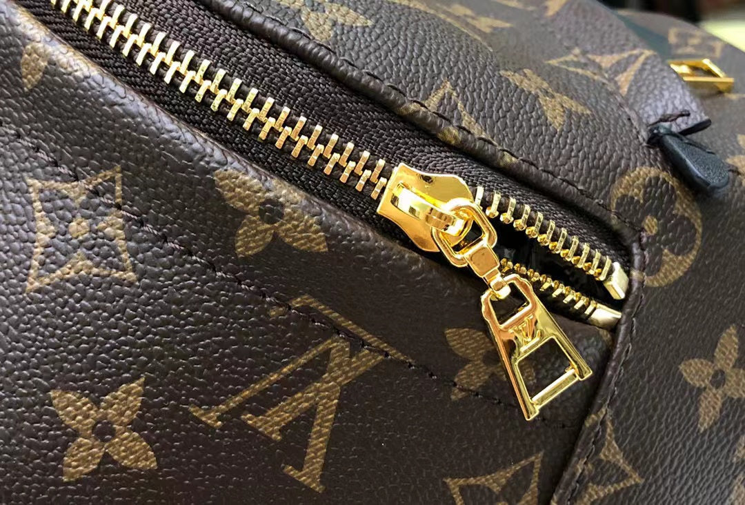 Louis Vuitton Palm Springs Mini Backpack Bag 22cm Monogram Canvas Spring/Summer Collection, Brown - Image 4