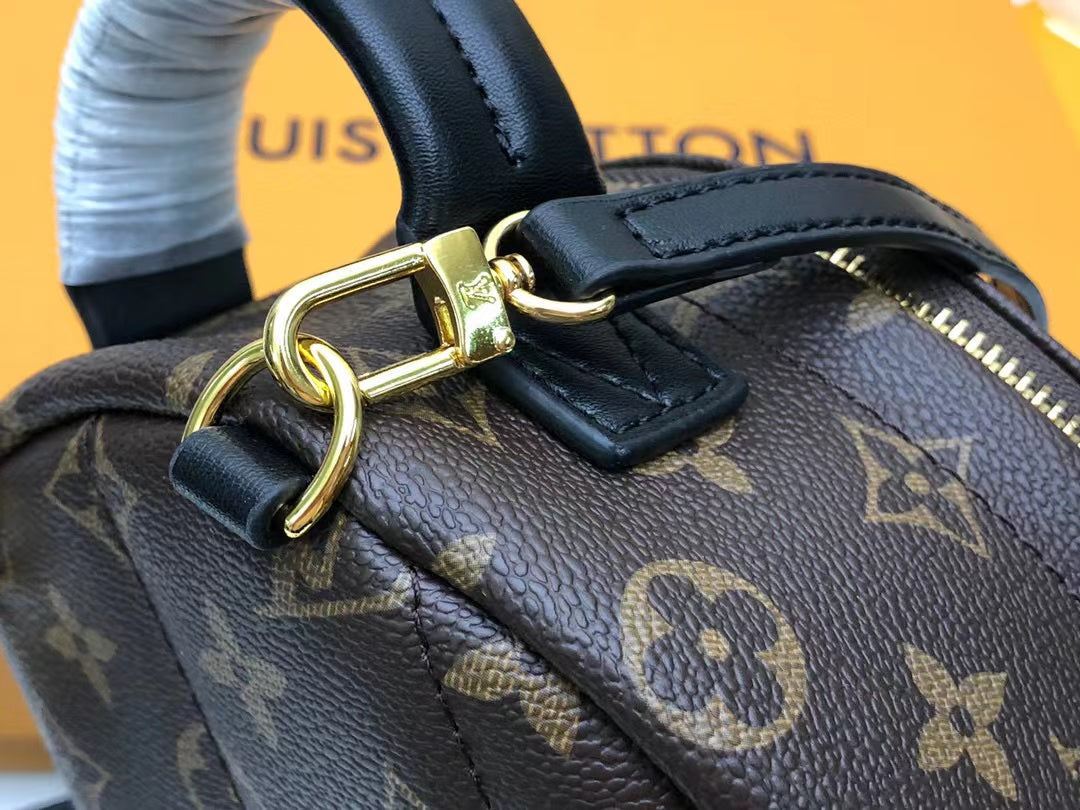Louis Vuitton Palm Springs Mini Backpack Bag 22cm Monogram Canvas Spring/Summer Collection, Brown - Image 5